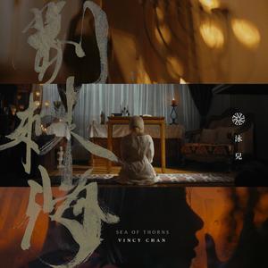 日本老妈三人交xoxoxo
